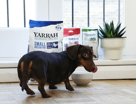 Vegetarian Chunks with Cranberries for Dogs image thumbnail
