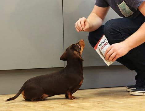 Vegan Dog Biscuits image thumbnail