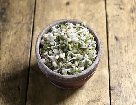 Mung Bean Sprouts
