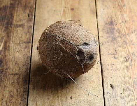 Coconut