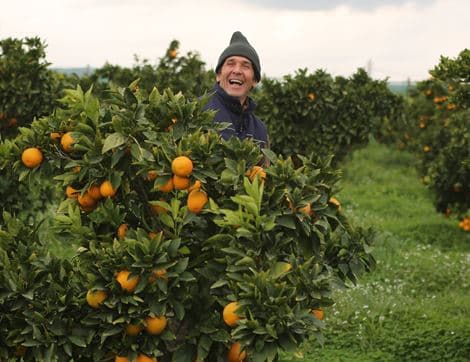 Blood Oranges image thumbnail