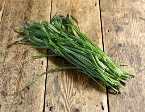 Wild Three-Cornered Leeks