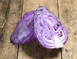 image of Red Pointed Cabbage
