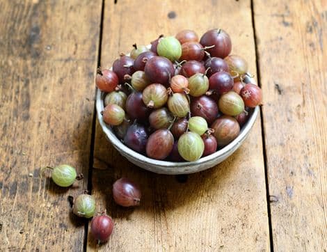 English Gooseberries