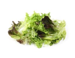 image of Summer Salad Leaves
