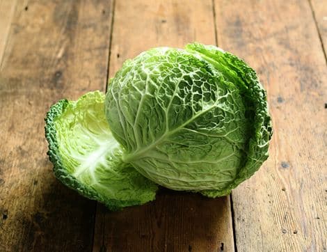 Savoy Cabbage