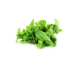 image of Mint