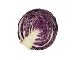image of Red Cabbage