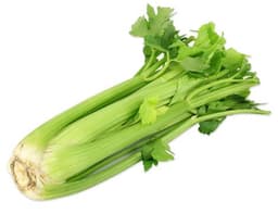 image of Celery