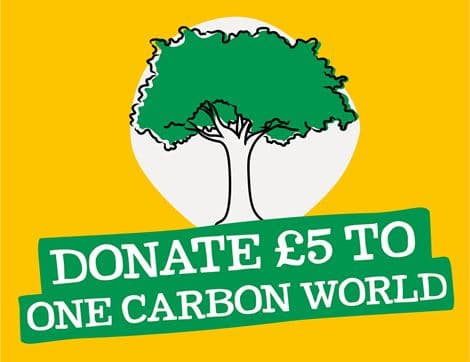 Tree Planting Project in Uruguay - £5 Donation