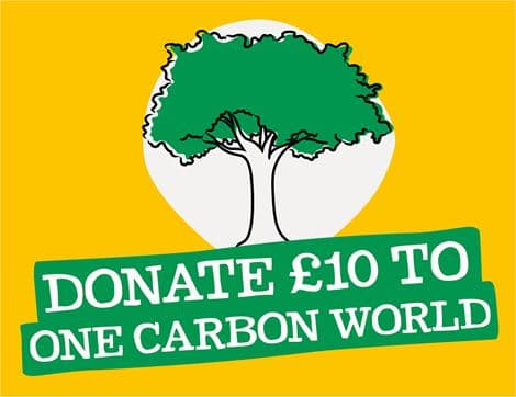 Tree Planting Project in Uruguay - £10 Donation