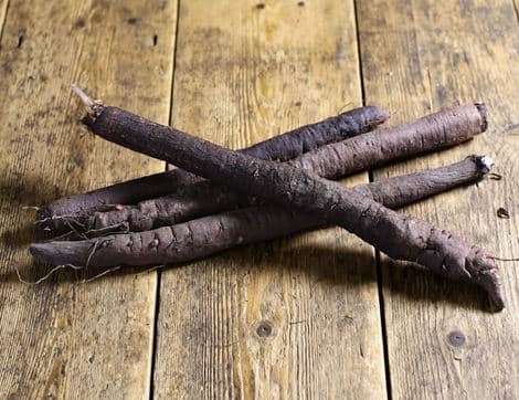 English Salsify