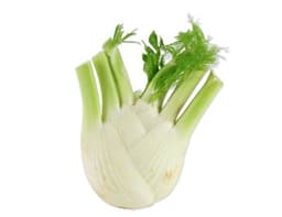 image of Fennel