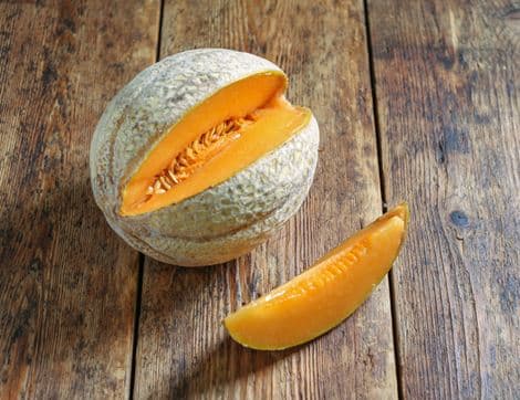 Charentais Melon