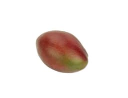 image of Mango