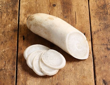Daikon Radish