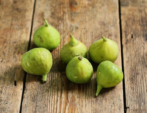 White Figs