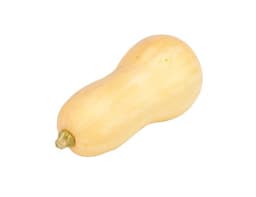 image of Butternut Squash