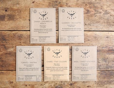 The Organic Rainbow Garden Seed Collection