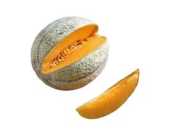 image of Charentais Melon