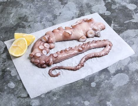 Wild British Octopus