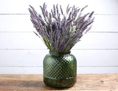 Dried Lavender Bunch