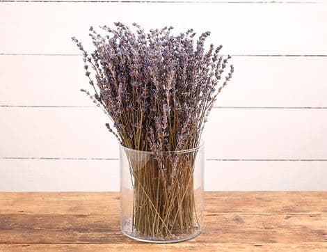 Dried Lavender Bunch