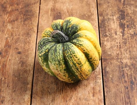 Carnival Squash