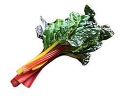 image of Chard, Rainbow