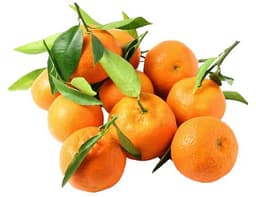 image of Clementines, with leaves