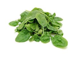 image of Baby Leaf Spinach