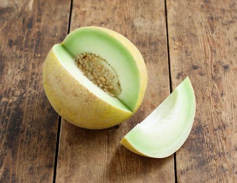 Galia Melon