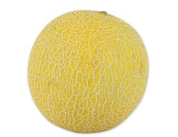 image of Galia Melon
