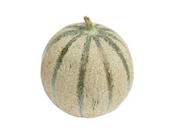 image of Cantaloupe Melon