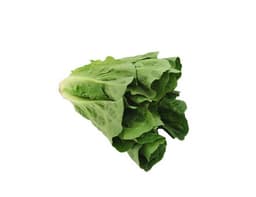 image of Cos Lettuce
