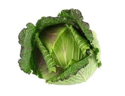 image of January King Cabbage