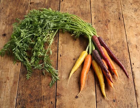 Bunched Rainbow Carrots