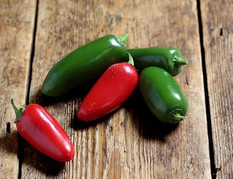 Mixed English Jalapeño Chillies (100g)