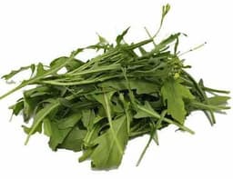 image of Rocket