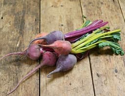 image of Bunched Rainbow Beetroot