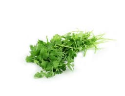 image of Coriander