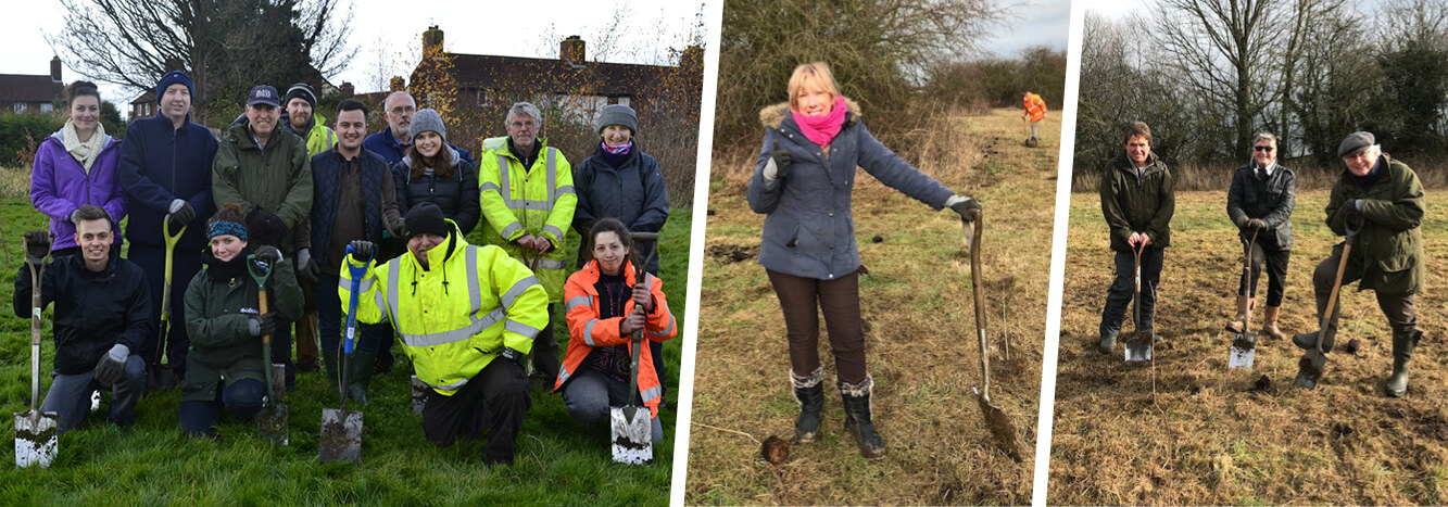 Abel & Cole employees planting trees