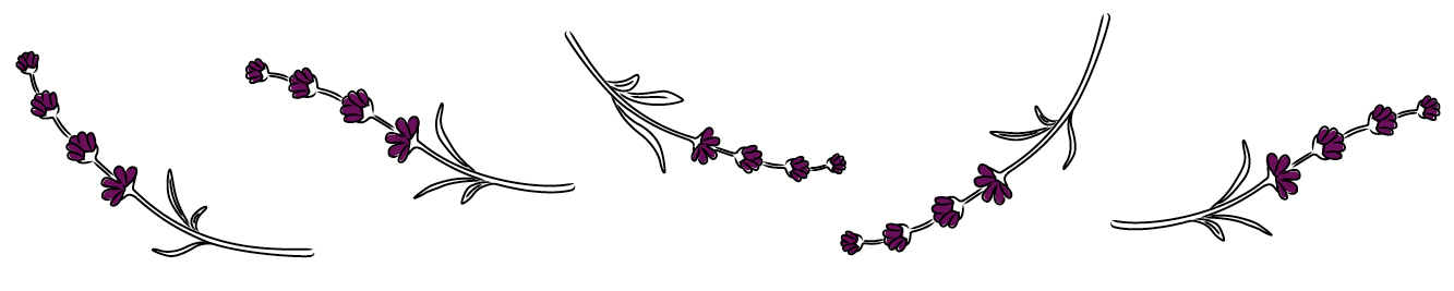 Illustration of lavender