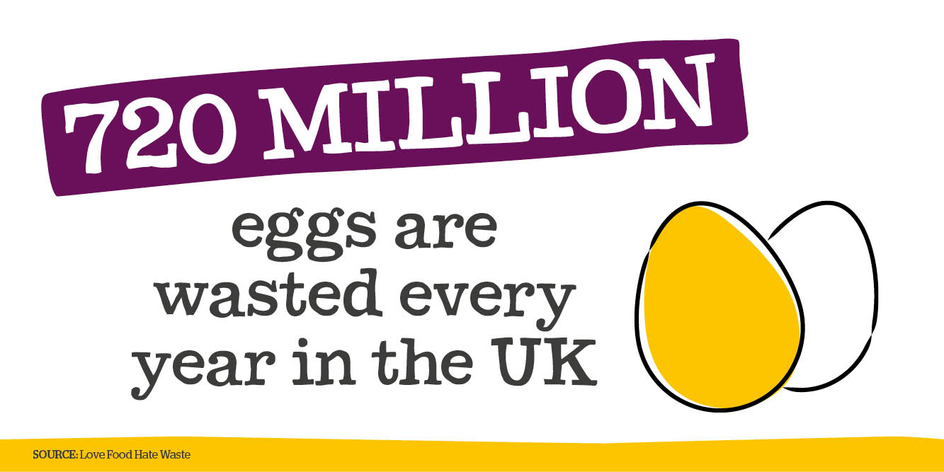 Eggs wasted statistic