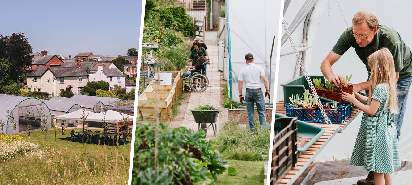 Community gardening