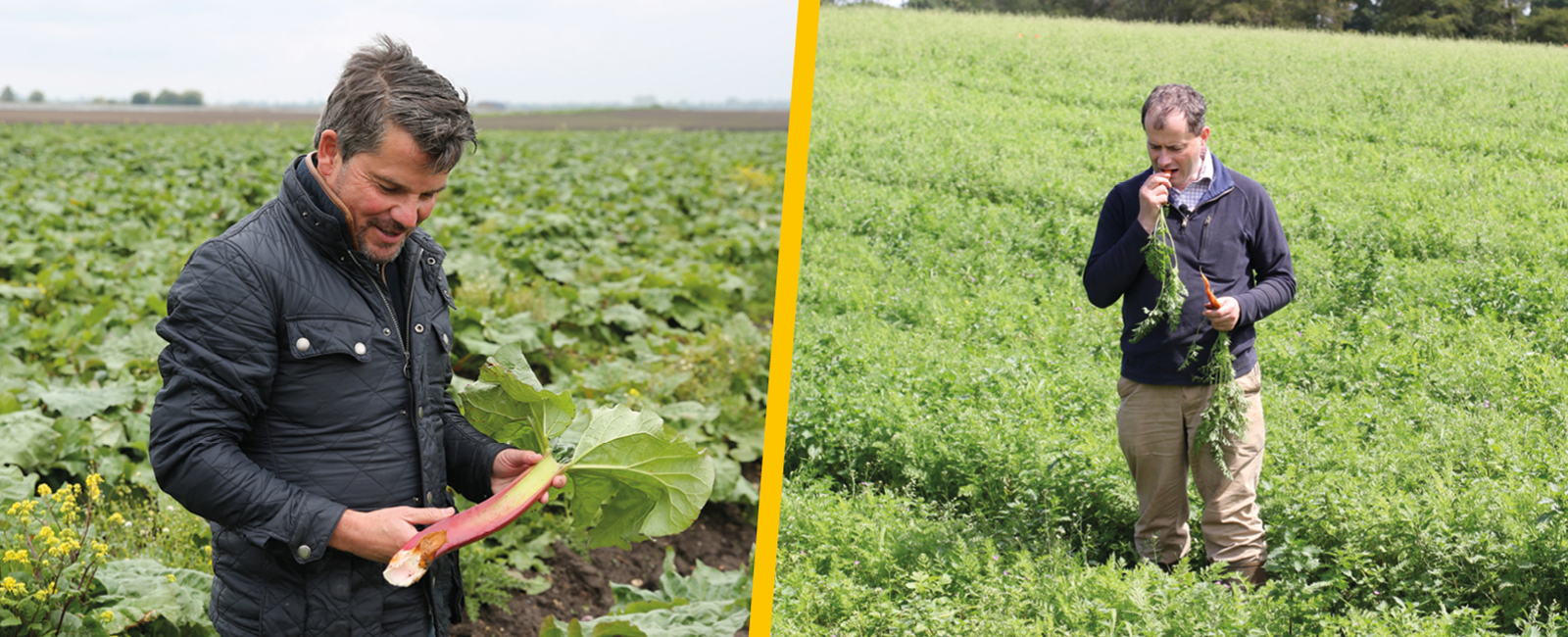 Colin & Andrew - Vegetable Farmers