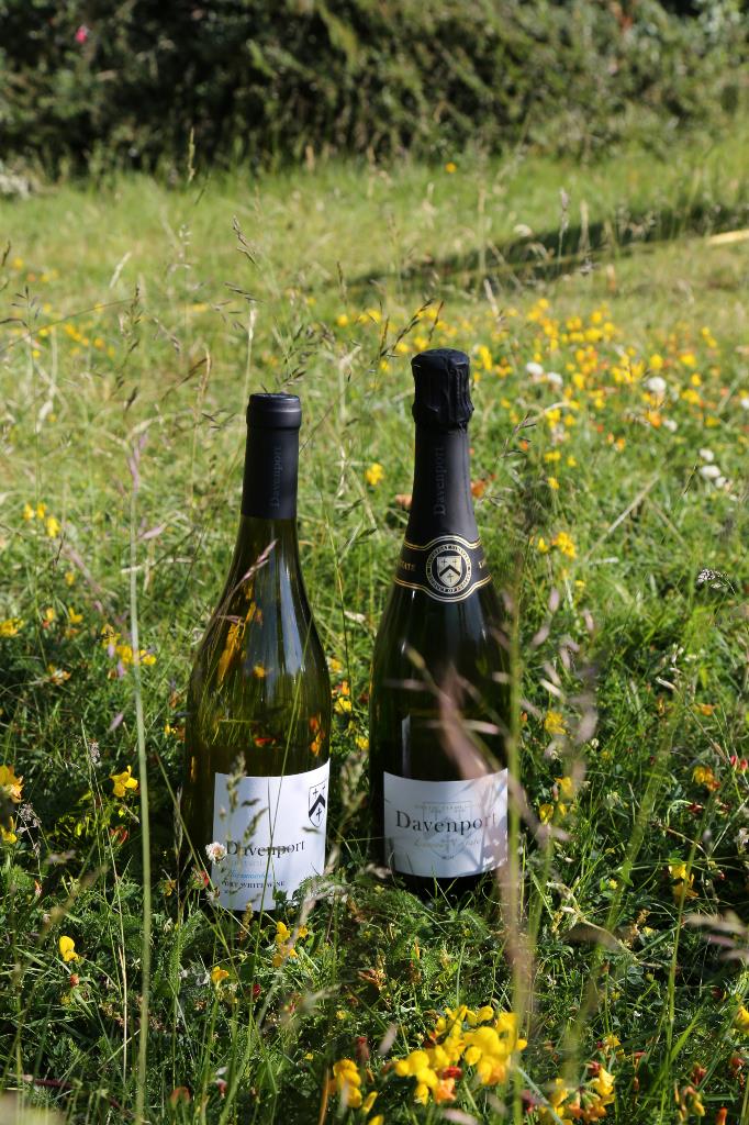 Biodynamic wine