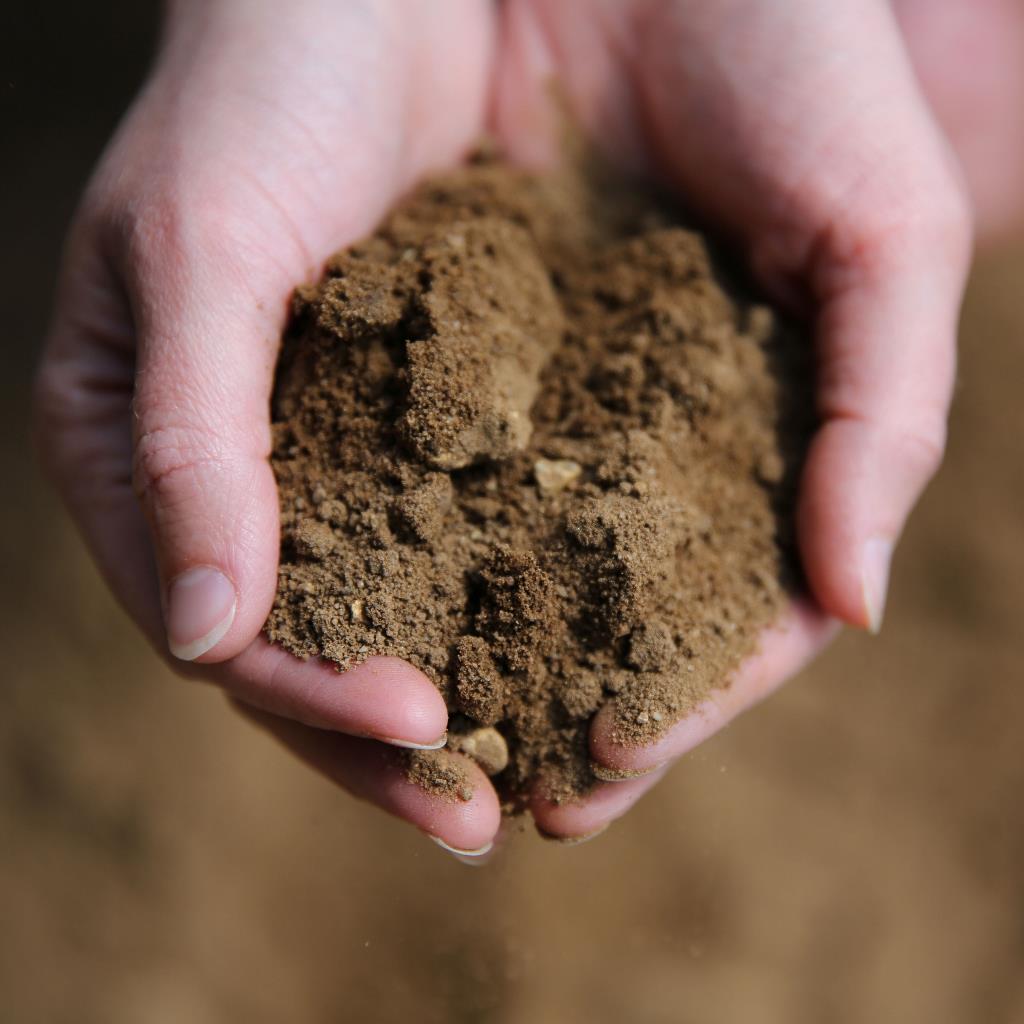 James-Foskett-Soil James-Foskett-Soil