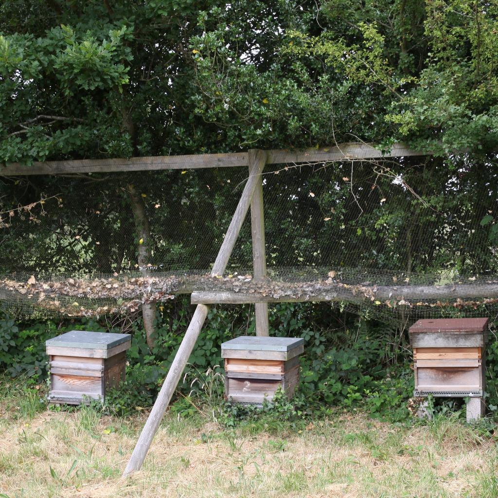 Turf-Croft-Bees Turf-Croft-Bees