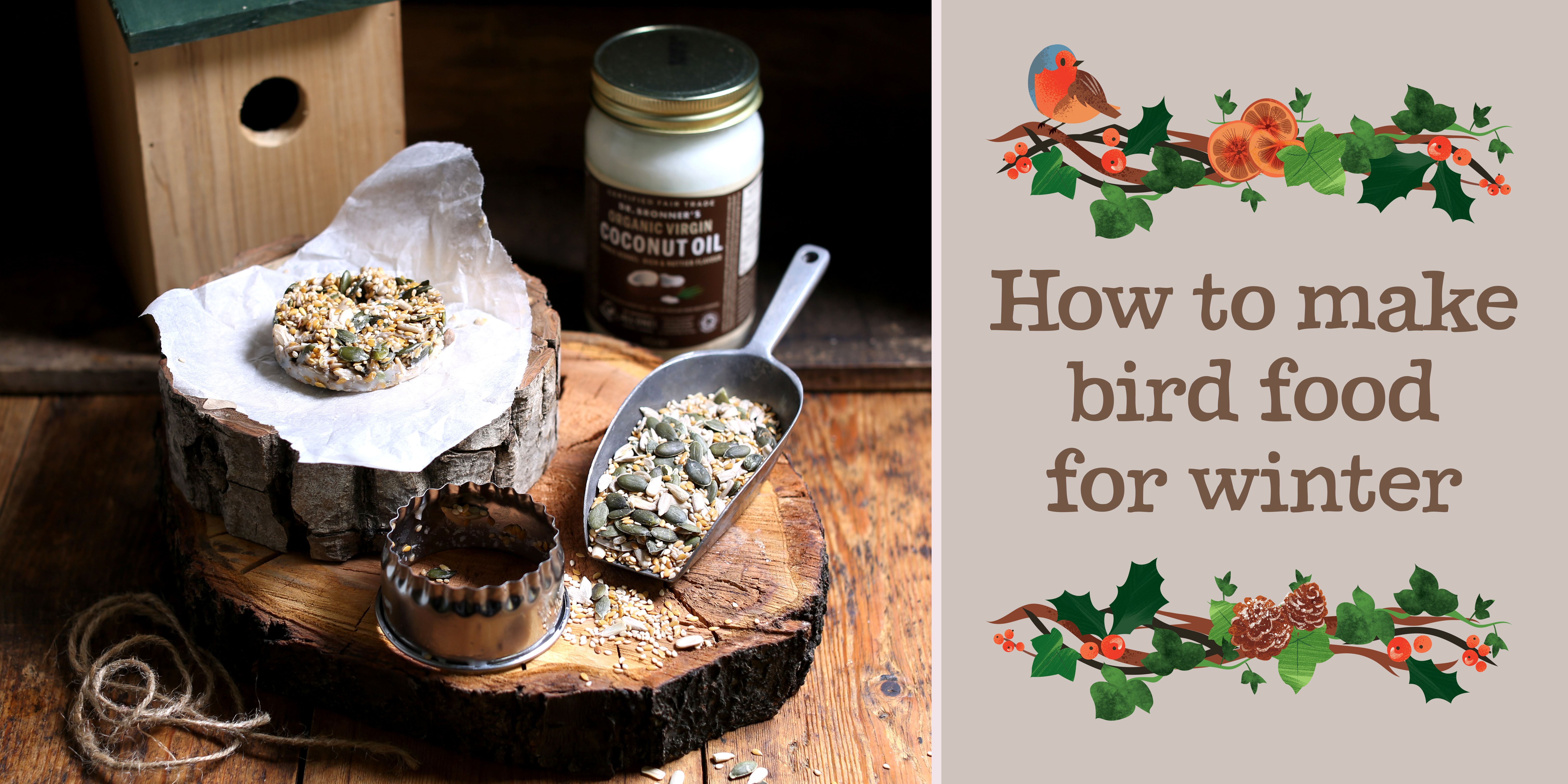 How to make bird food for winter